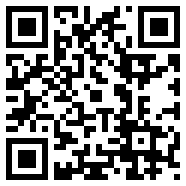 radmin3.2绿色版