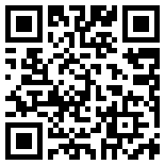 东风风行app