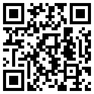 代练丸子app