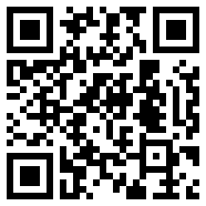 口袋妖怪传说绿宝石1.6.0金手指版