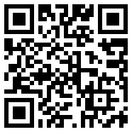 BitVision